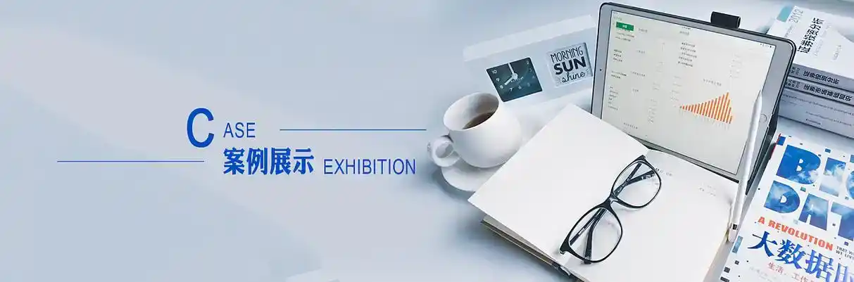 广元软件开发